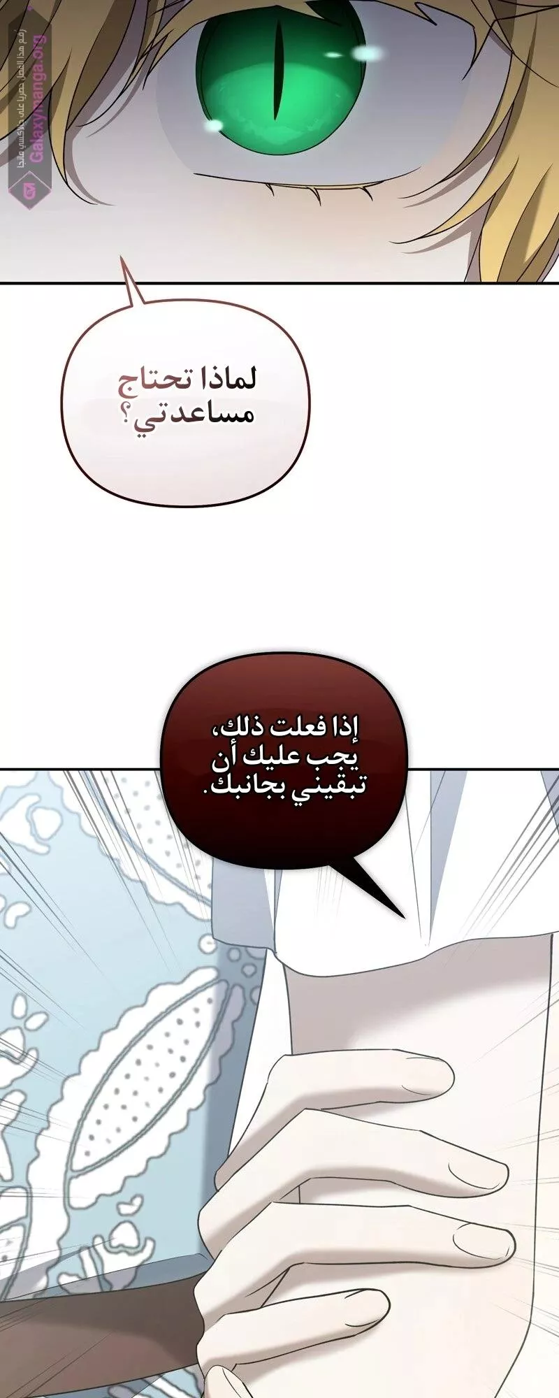 الصفحة 17