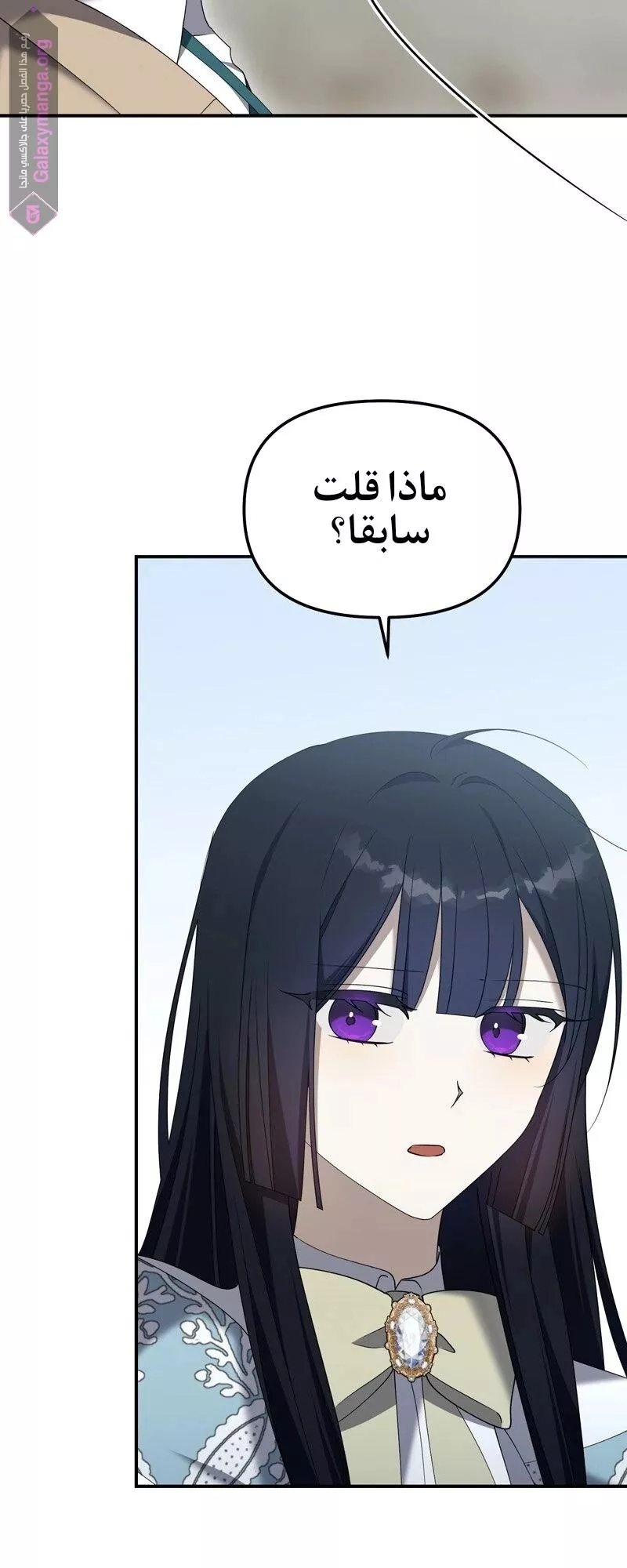 الصفحة 40