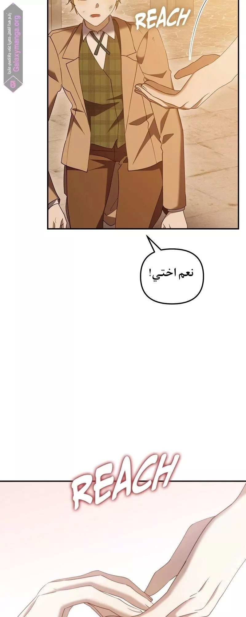 الصفحة 47