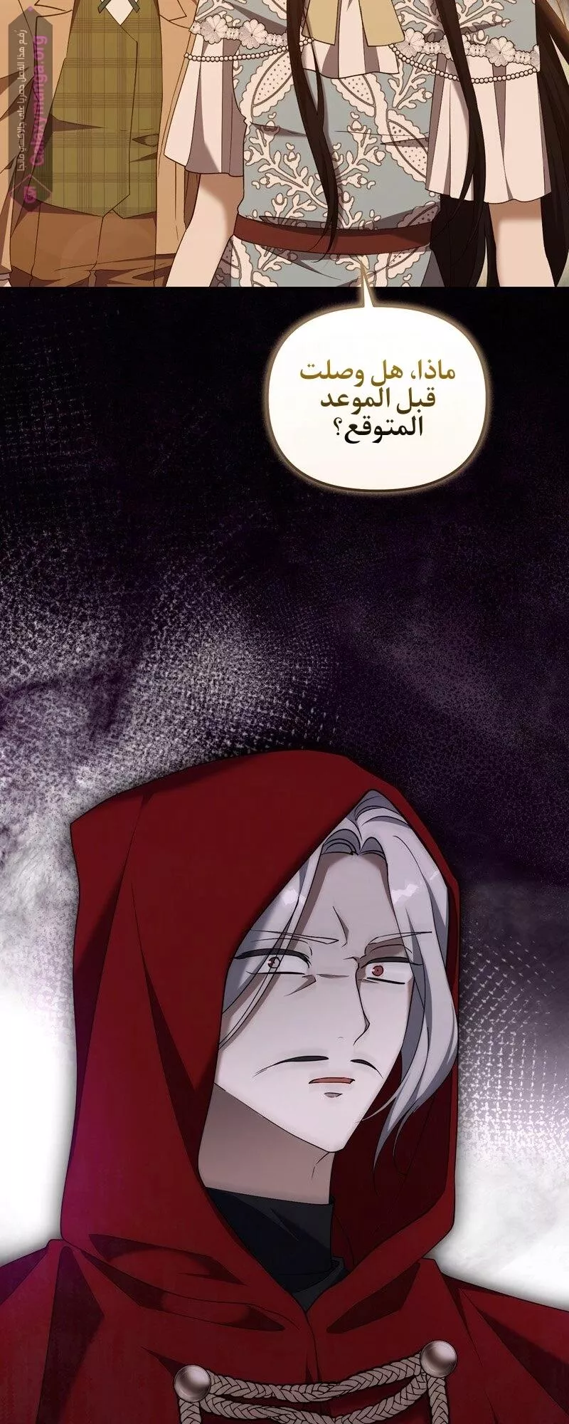 الصفحة 55