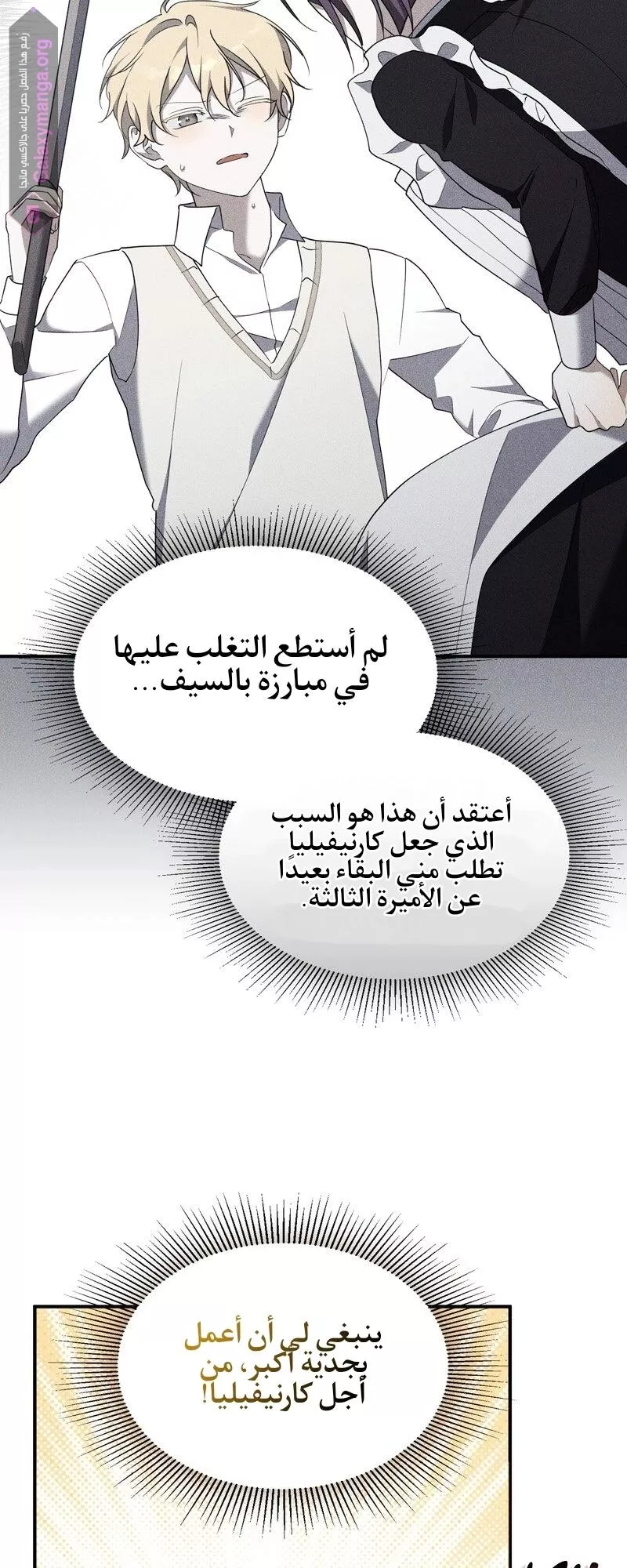 الصفحة 17