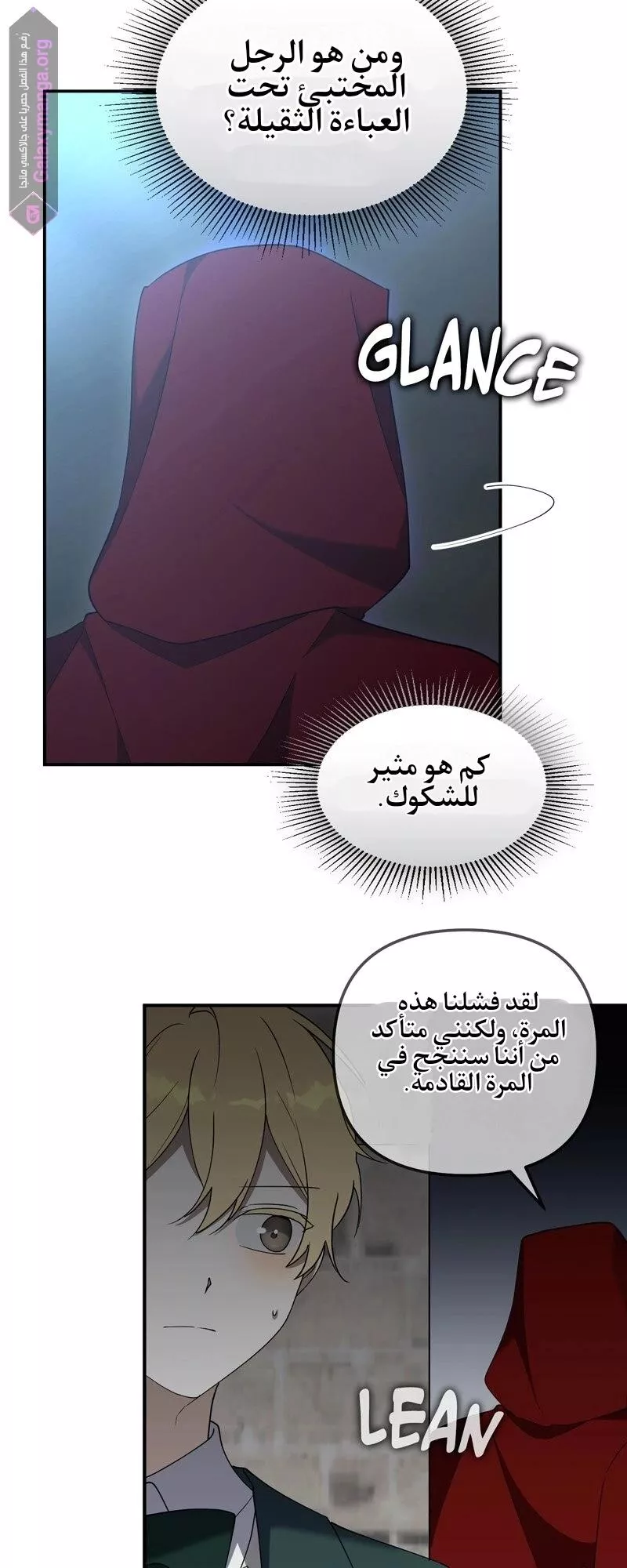 الصفحة 20
