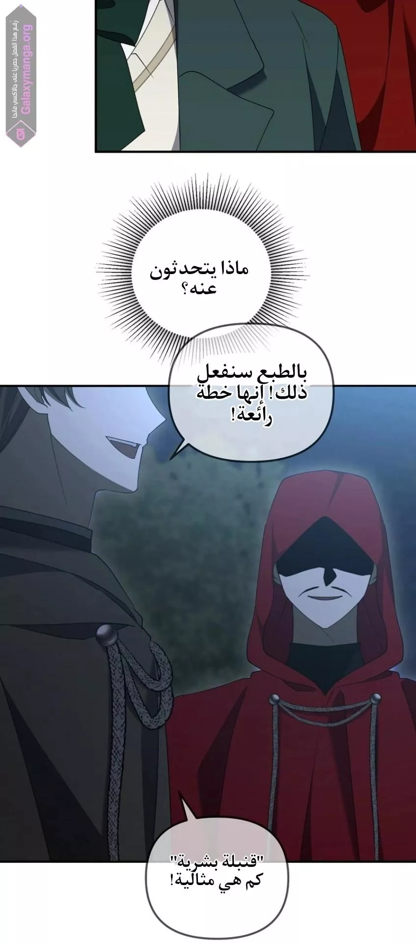 الصفحة 21