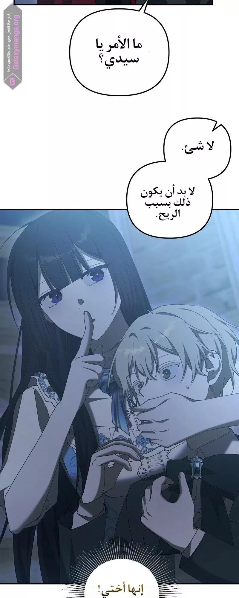 الصفحة 27