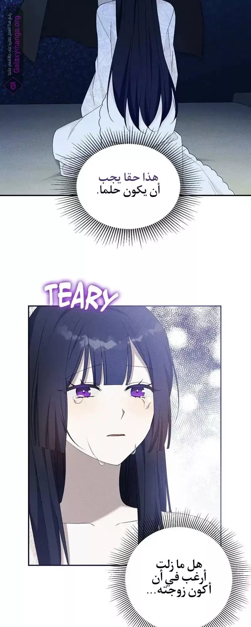 الصفحة 15