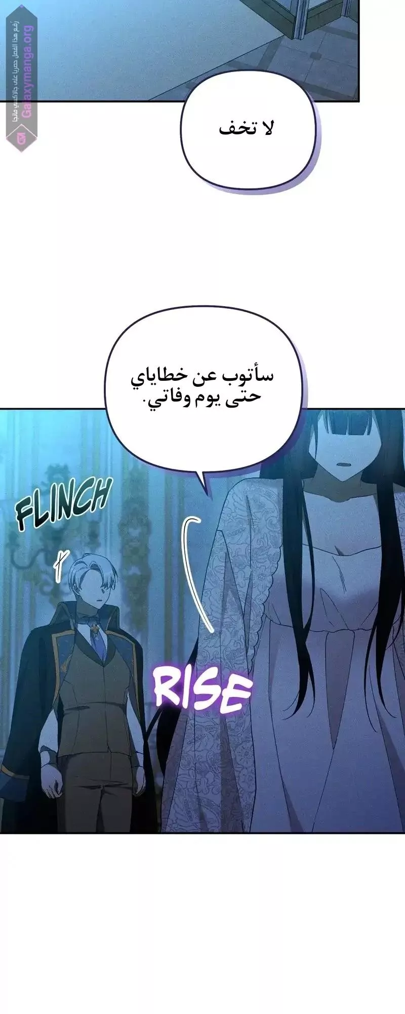 الصفحة 17