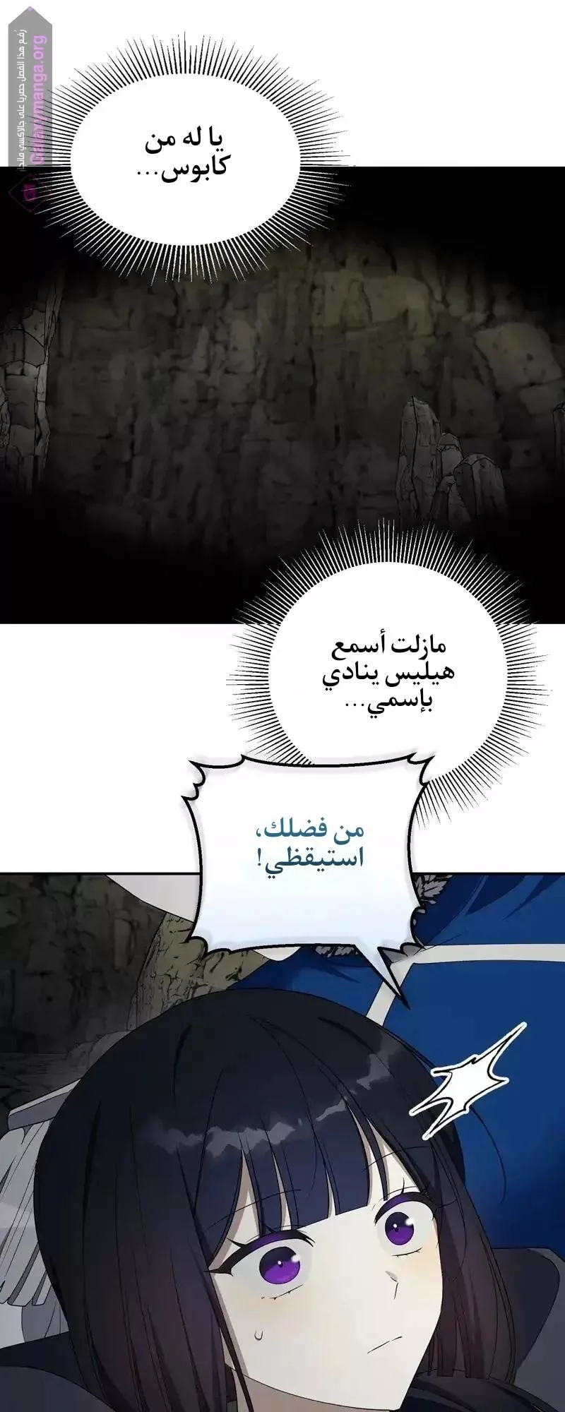 الصفحة 24