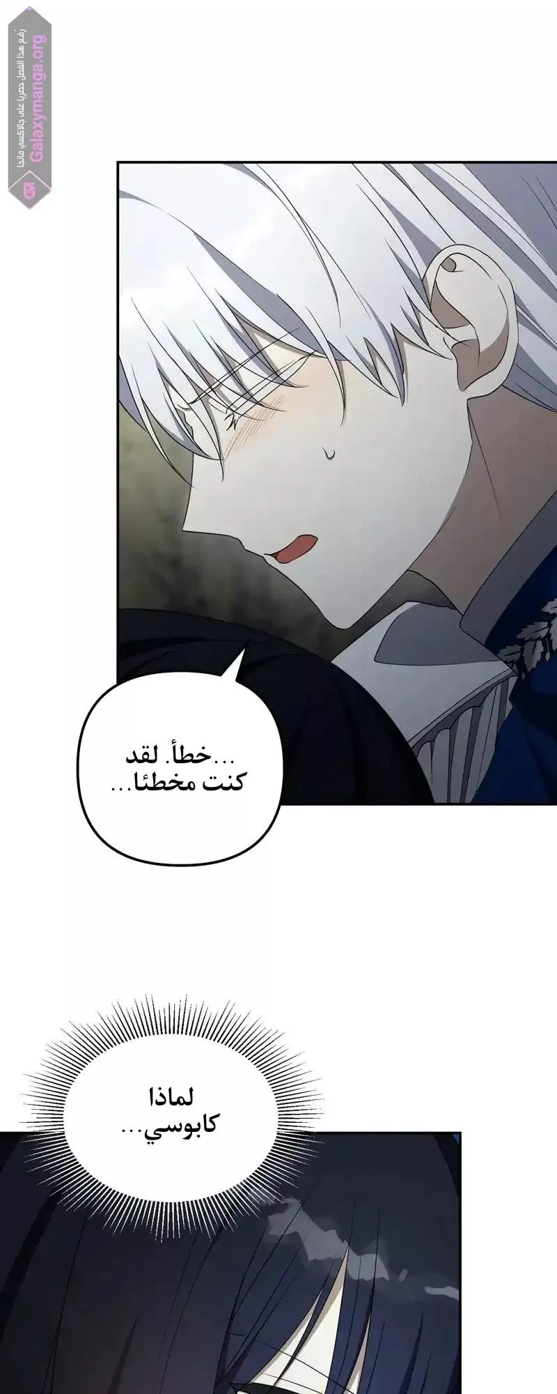 الصفحة 26