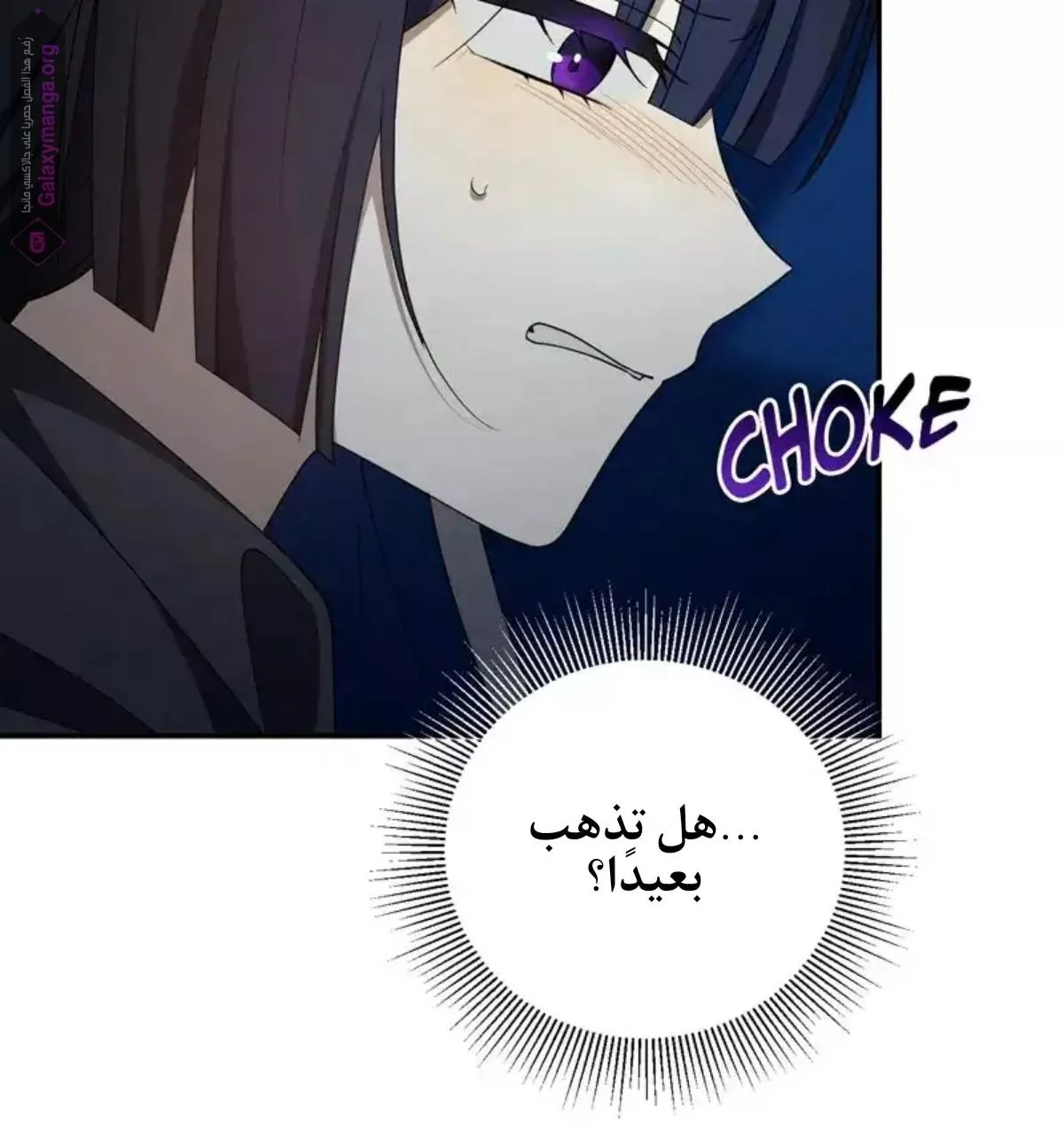 الصفحة 27