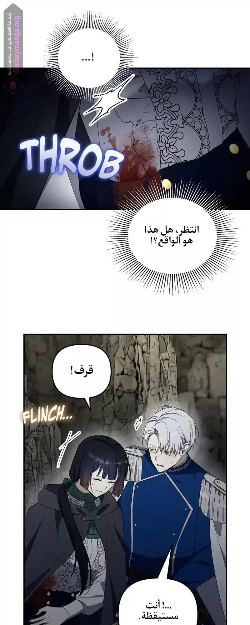 الصفحة 28