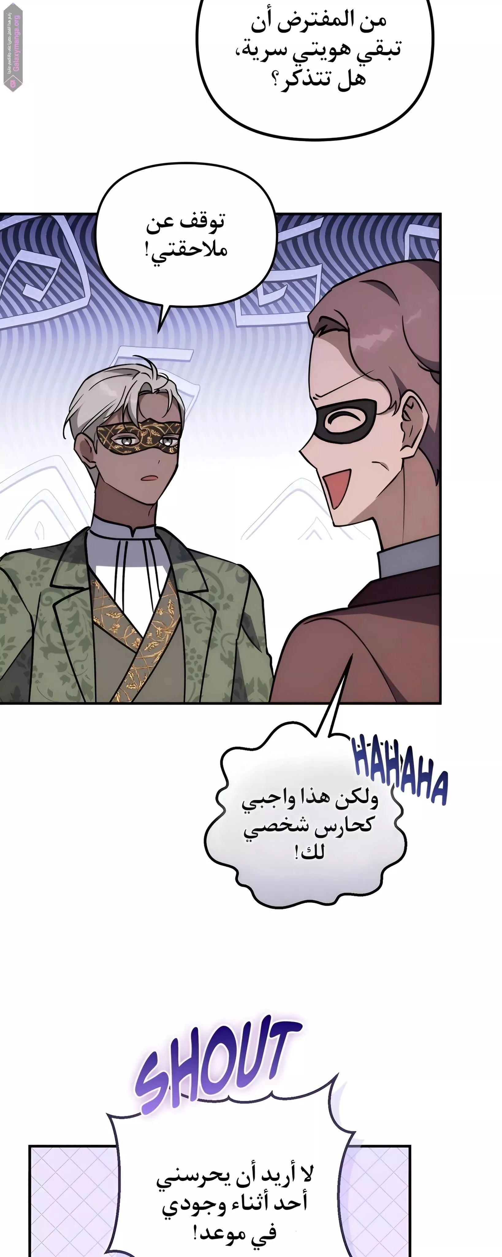 الصفحة 27