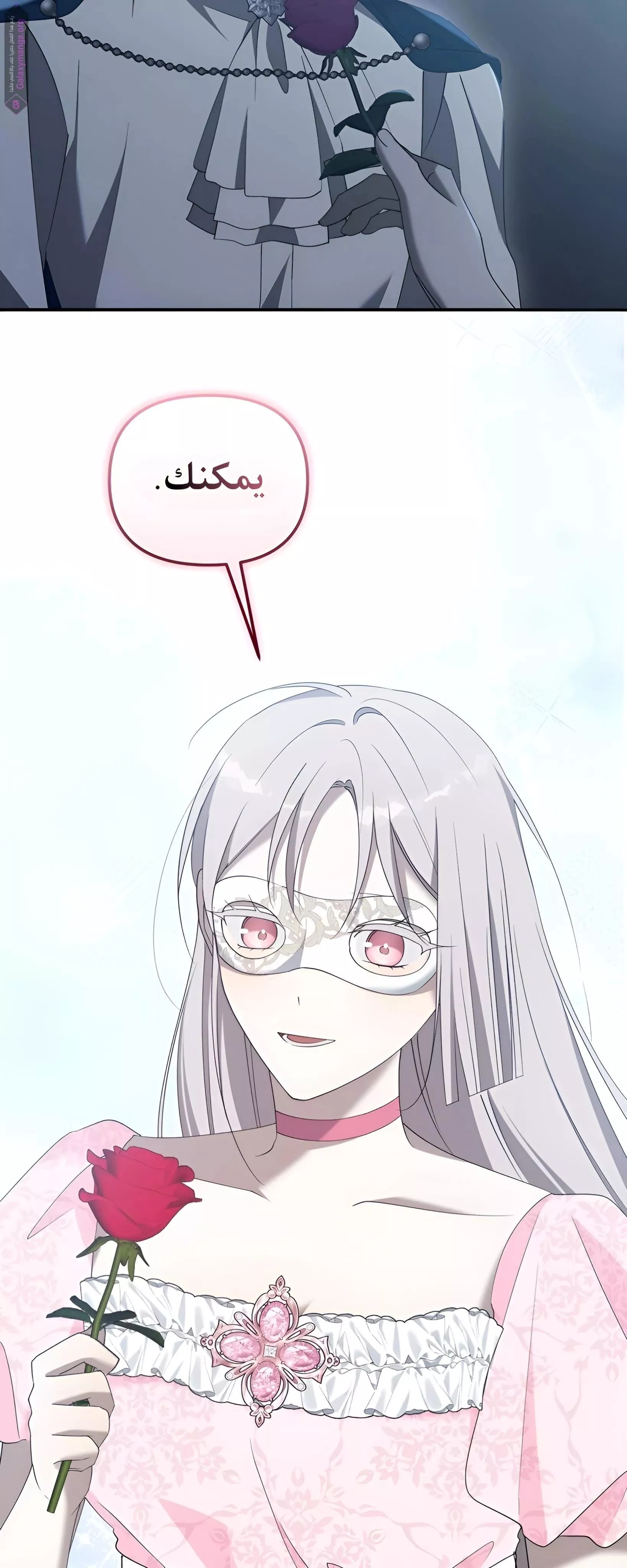 الصفحة 24