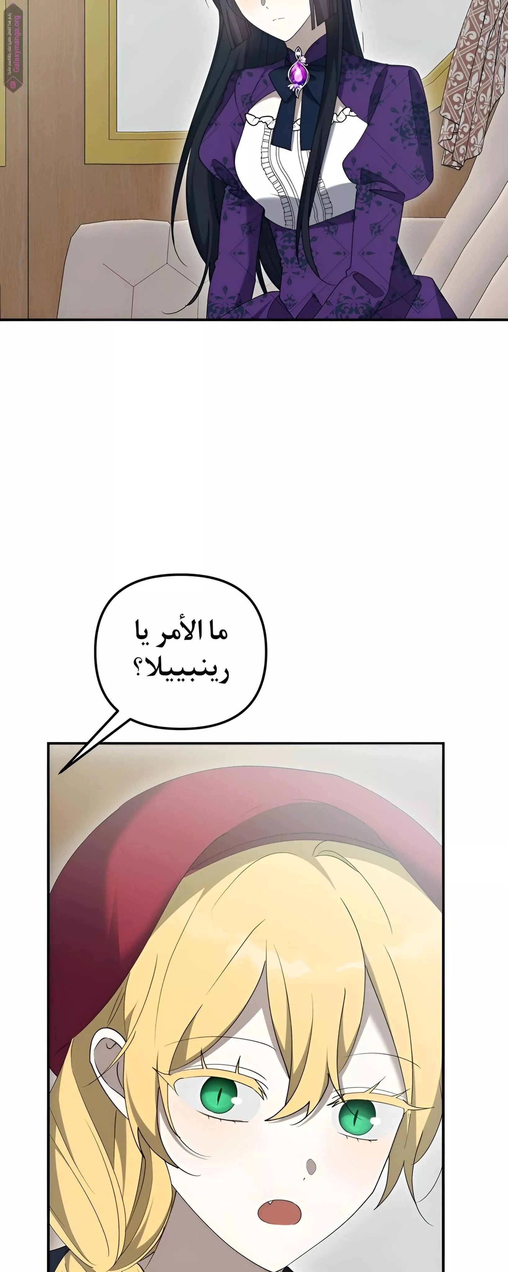 الصفحة 47