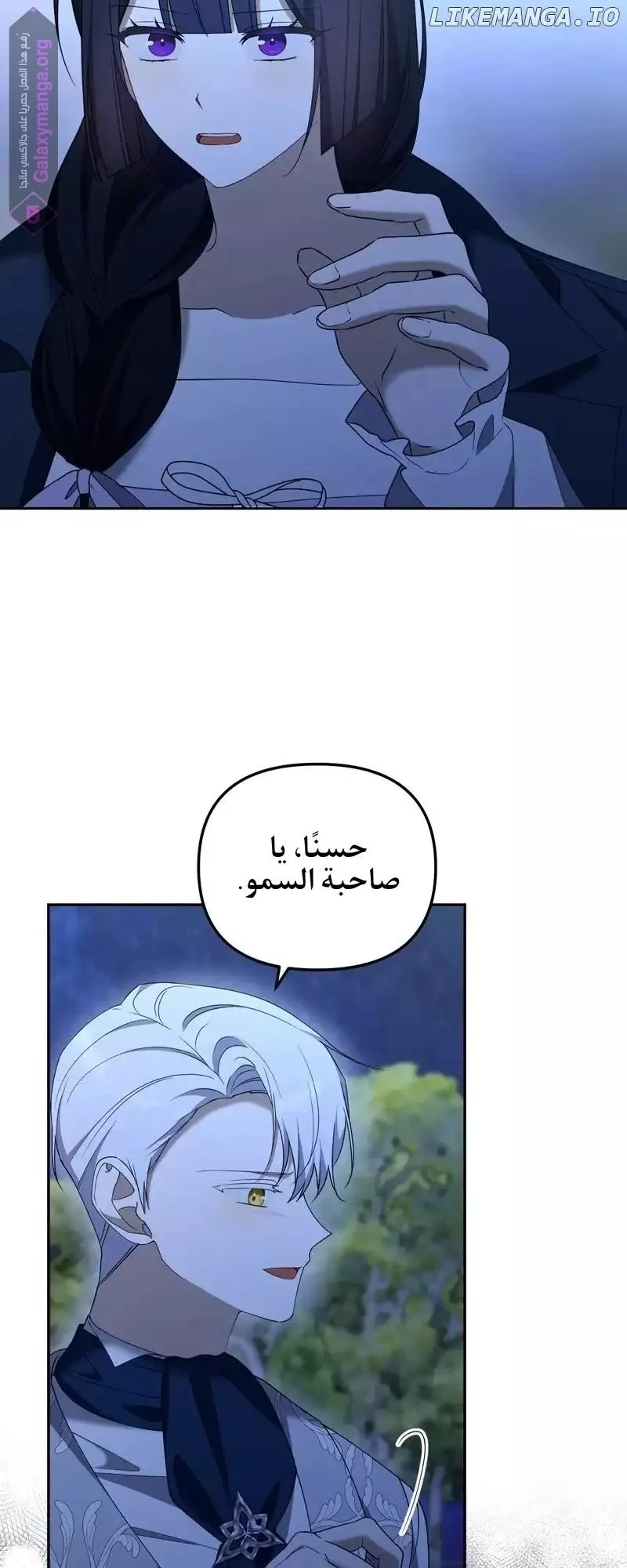 الصفحة 12