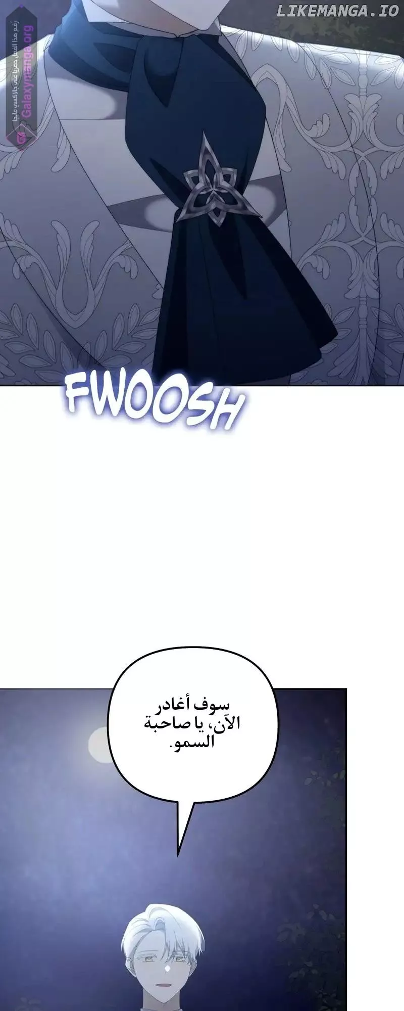 الصفحة 17
