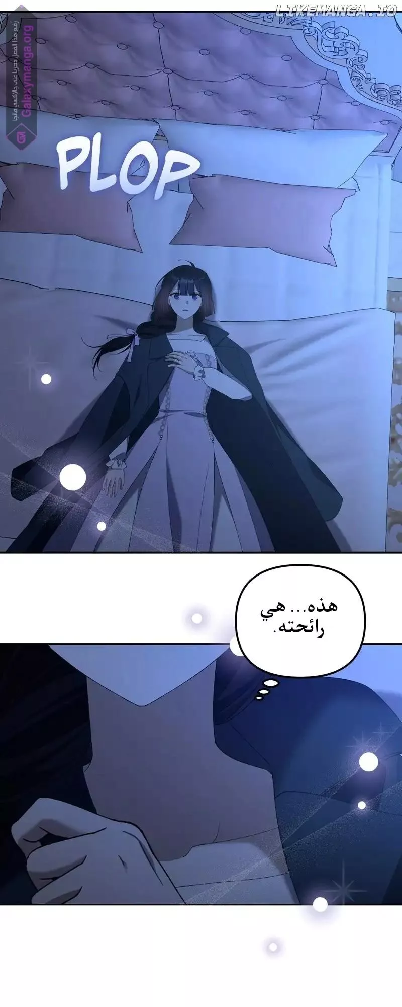 الصفحة 23