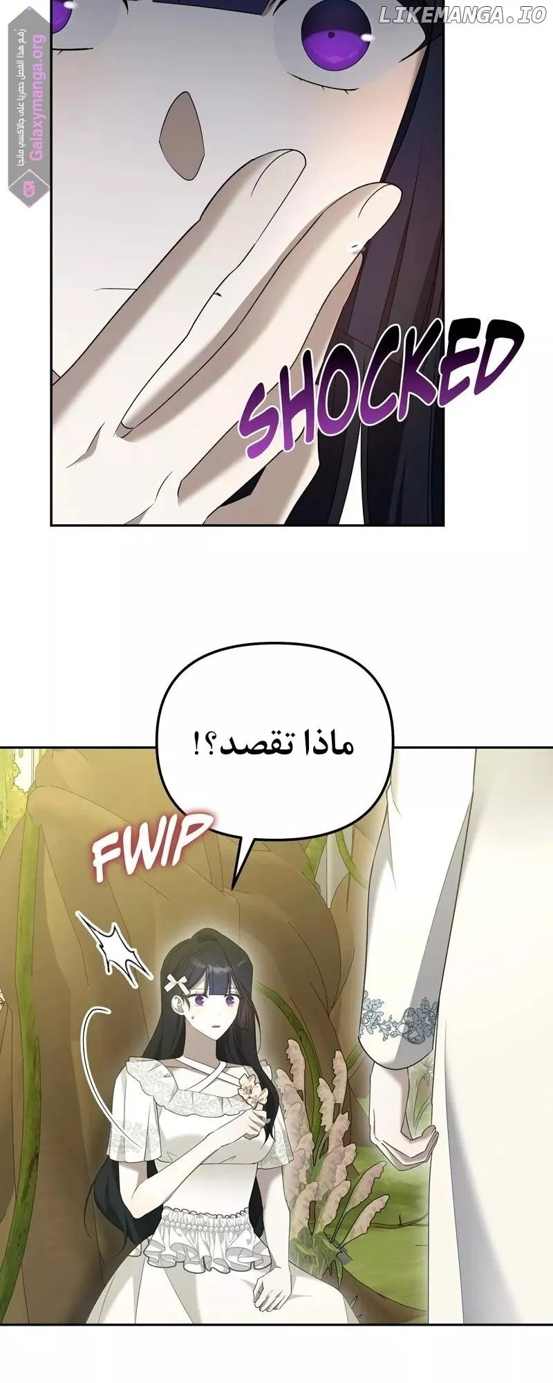 الصفحة 16