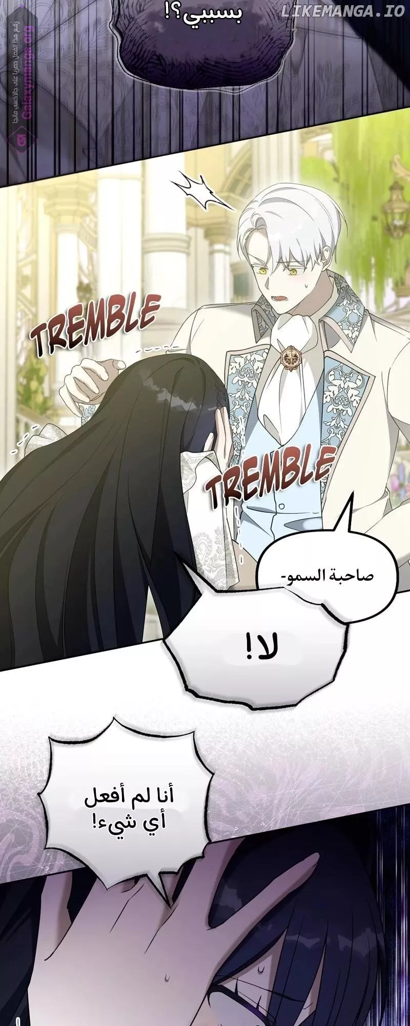 الصفحة 20