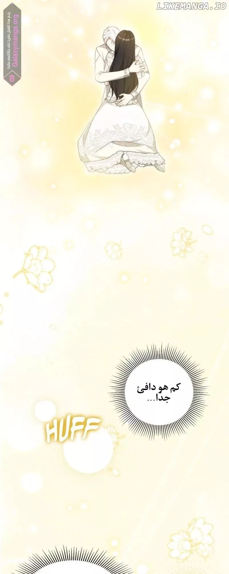 الصفحة 25