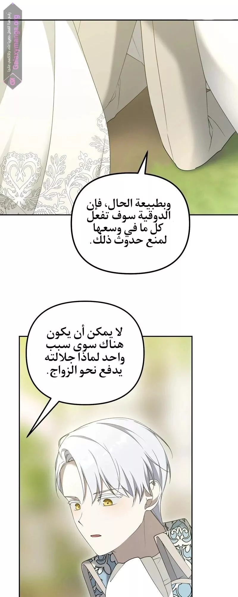 الصفحة 29