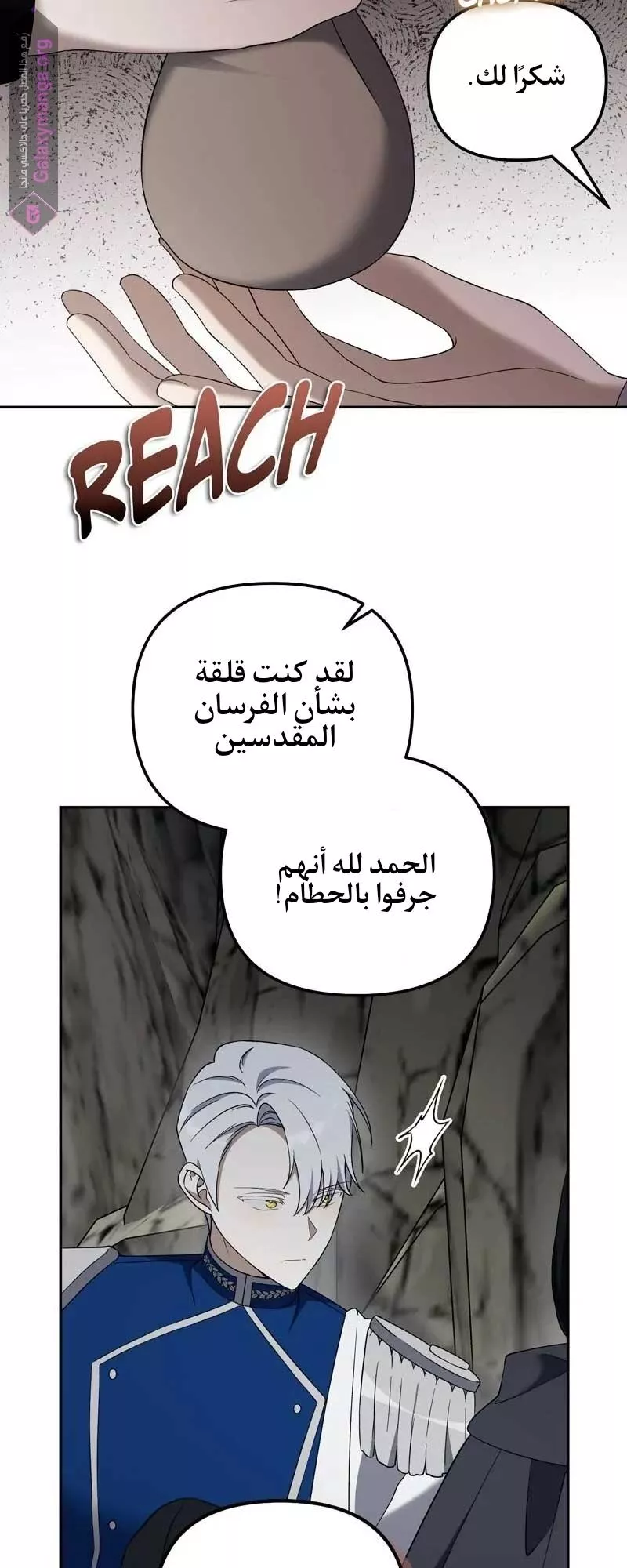 الصفحة 17