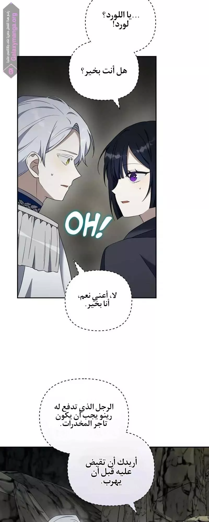 الصفحة 19
