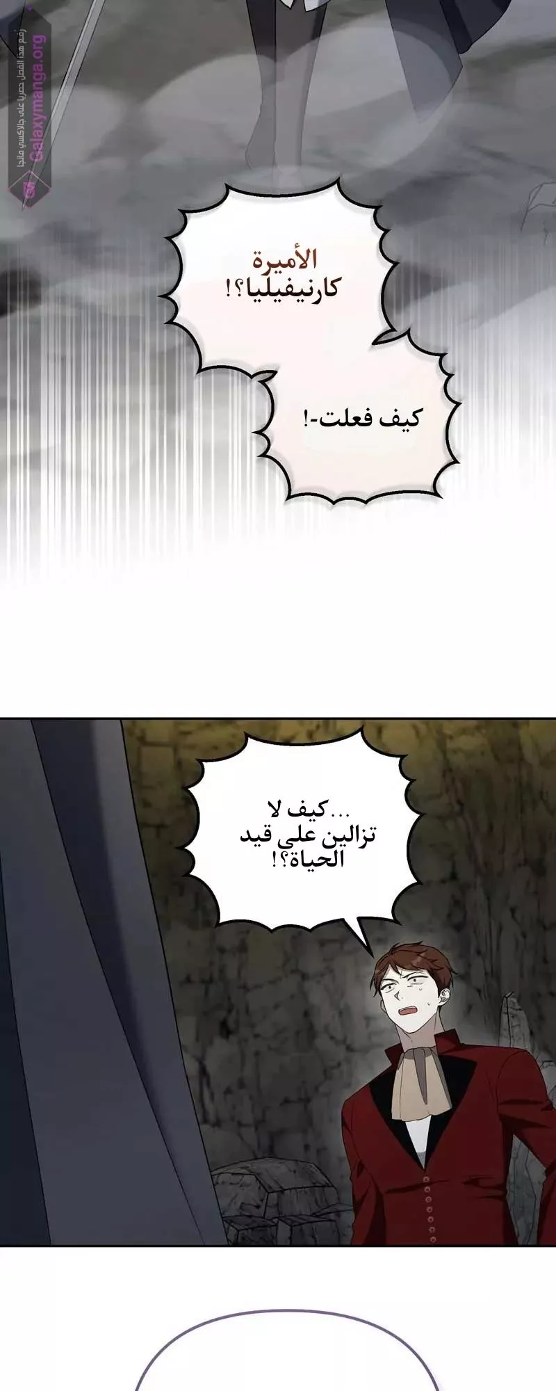 الصفحة 26