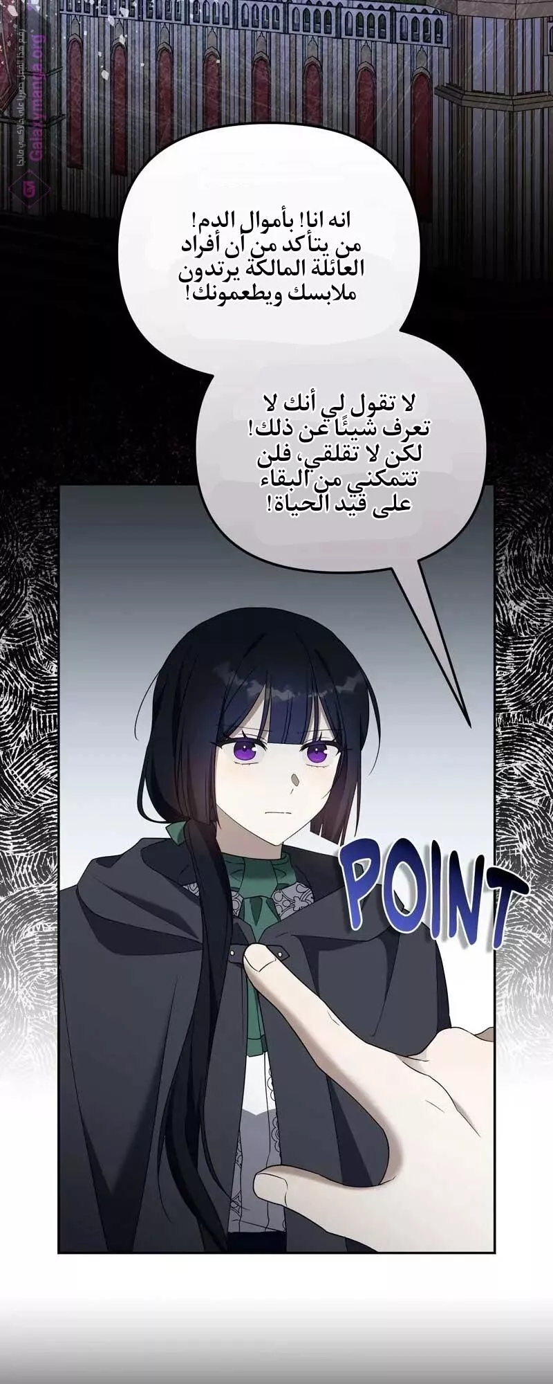 الصفحة 29