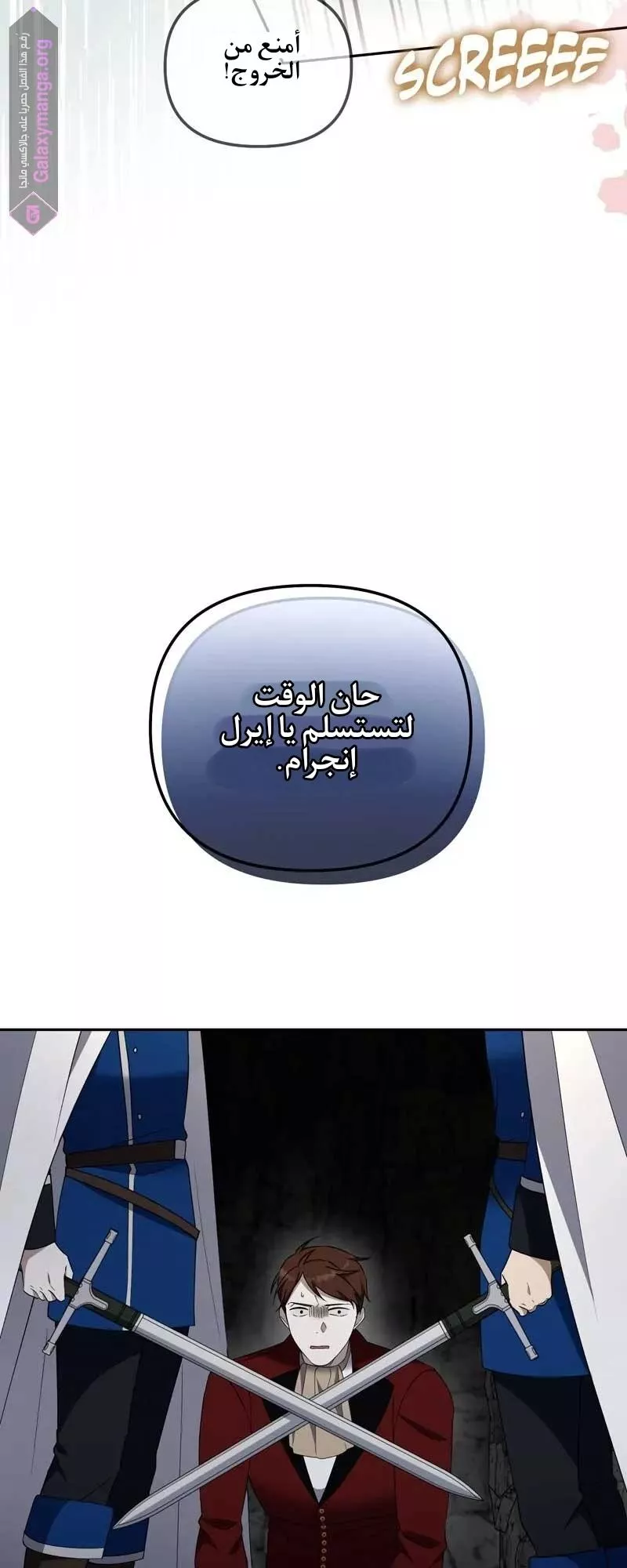 الصفحة 41