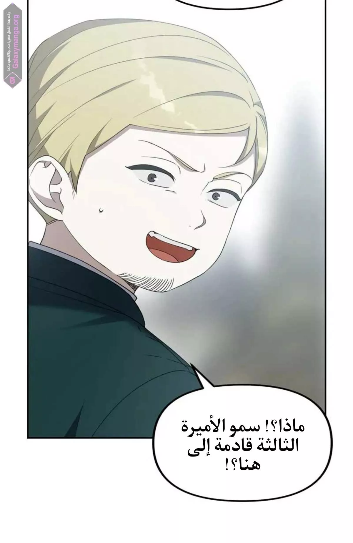 الصفحة 51