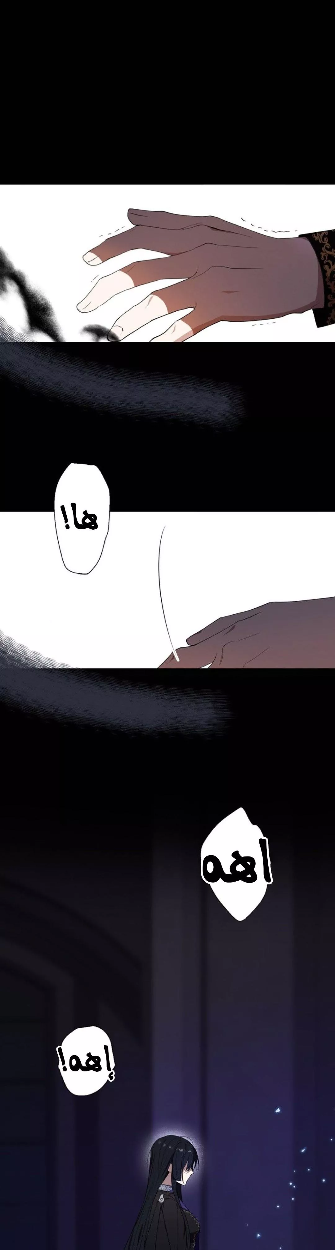 الصفحة 13