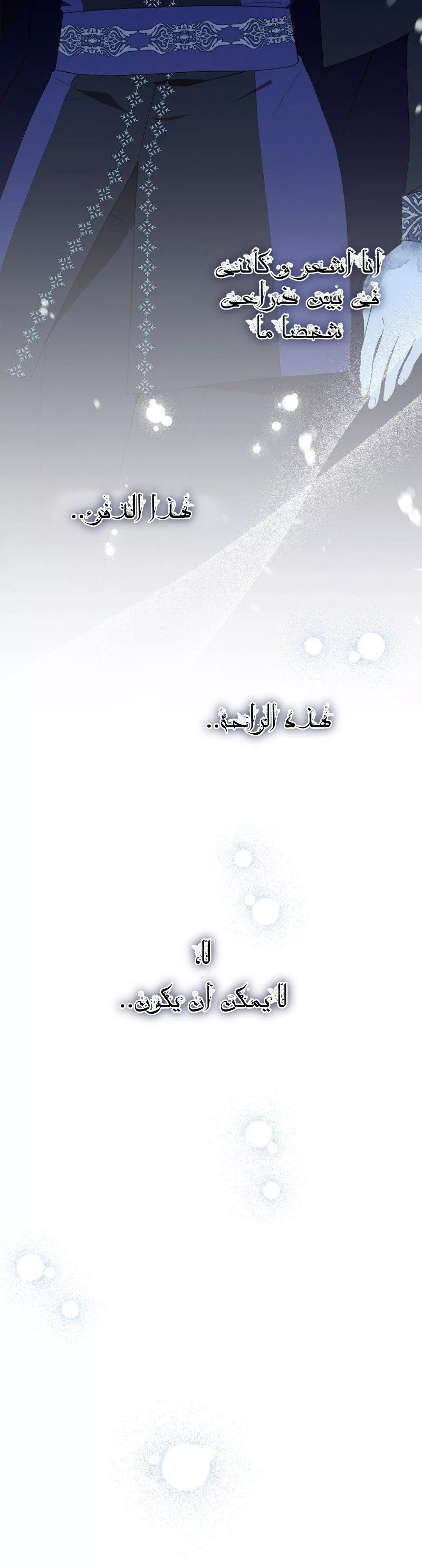 الصفحة 24