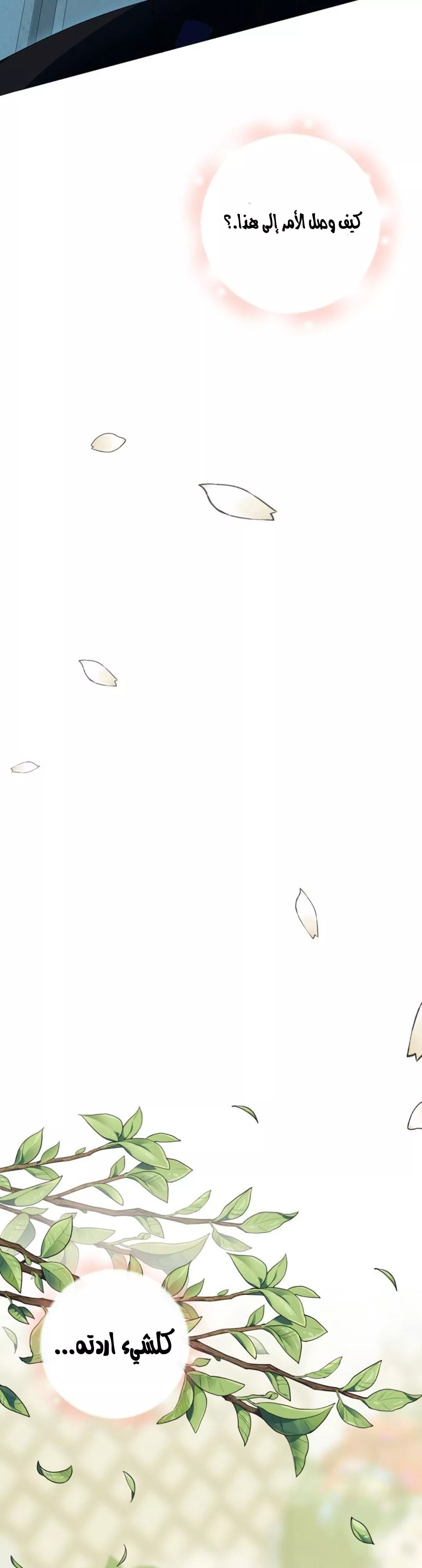 الصفحة 26