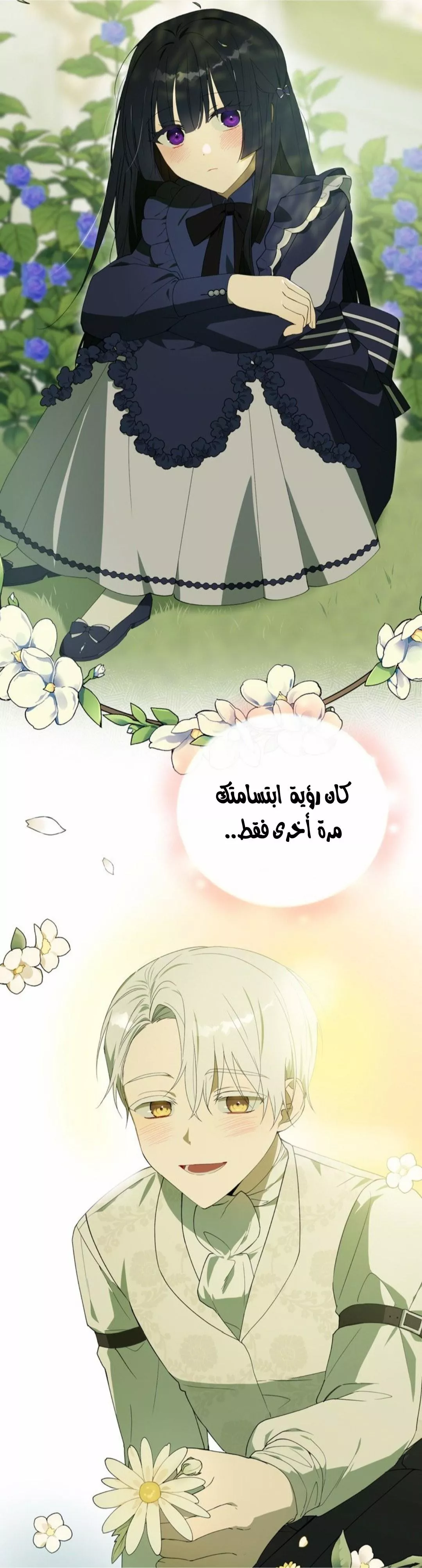 الصفحة 27