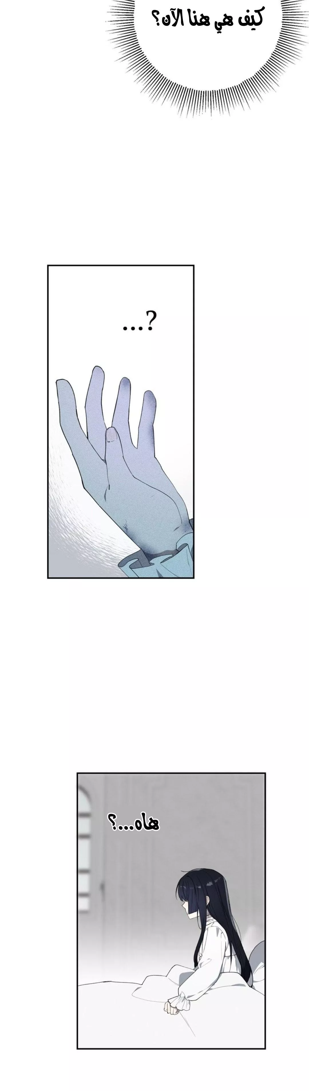 الصفحة 33