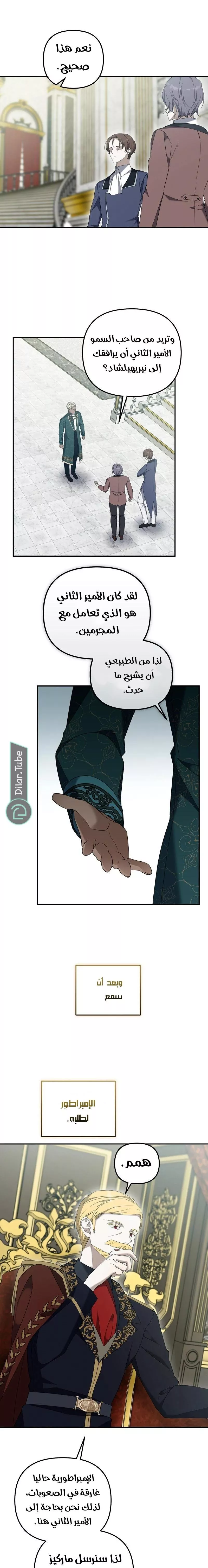 الصفحة 8
