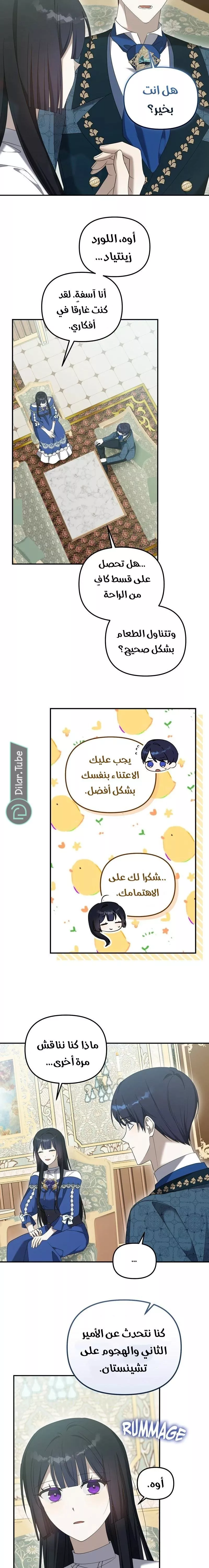 الصفحة 11