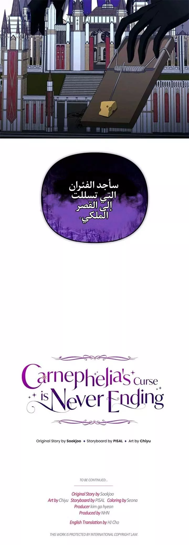 الصفحة 24