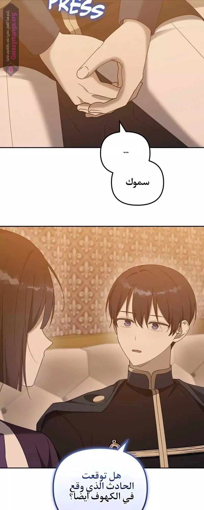 الصفحة 13