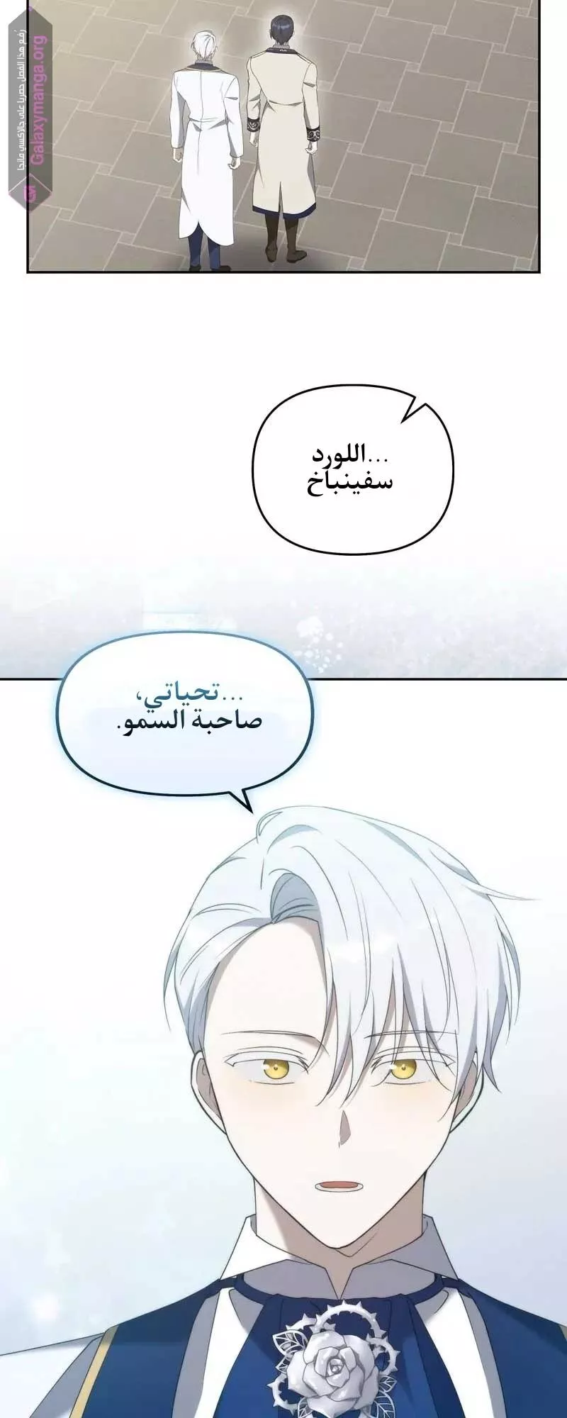 الصفحة 42