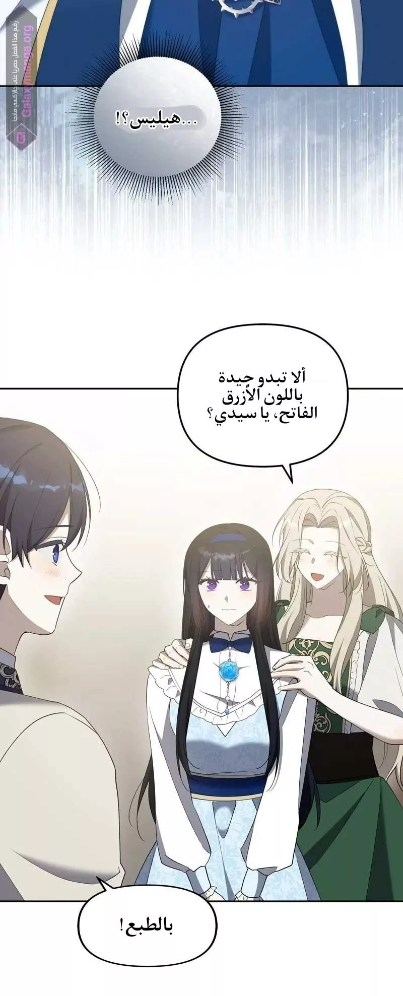 الصفحة 43