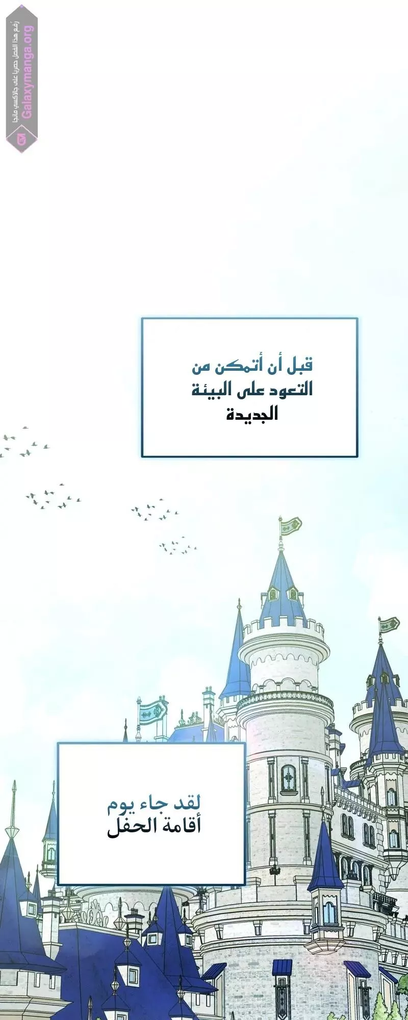 الصفحة 19
