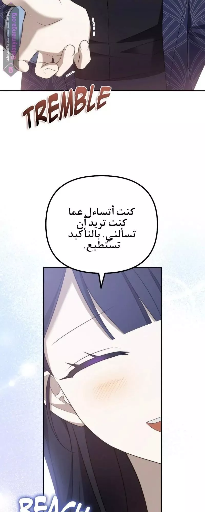 الصفحة 38