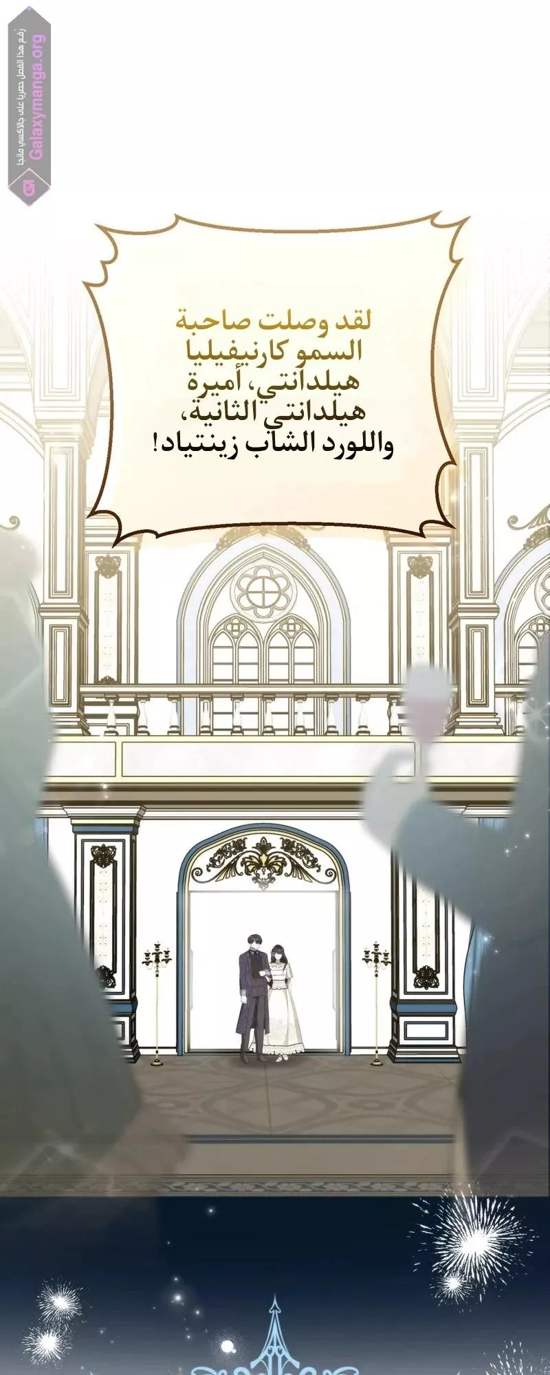 الصفحة 48