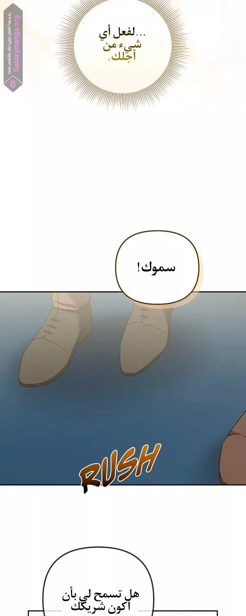 الصفحة 52