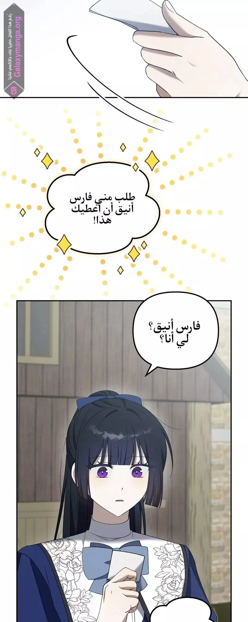 الصفحة 17