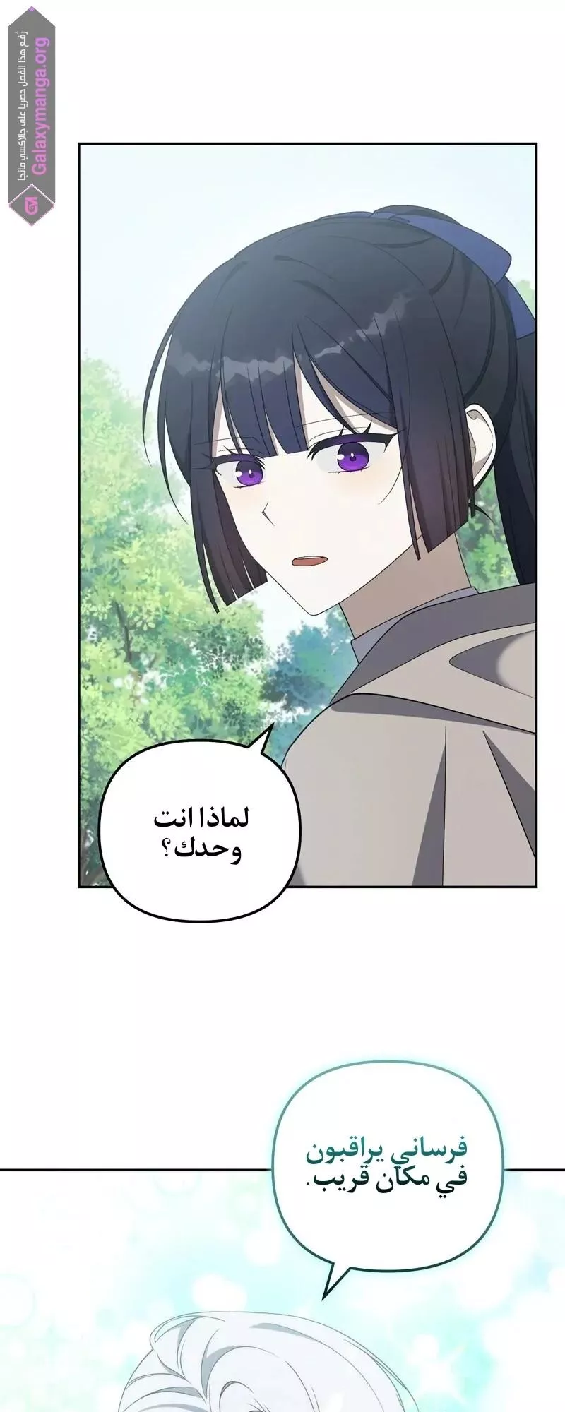 الصفحة 28