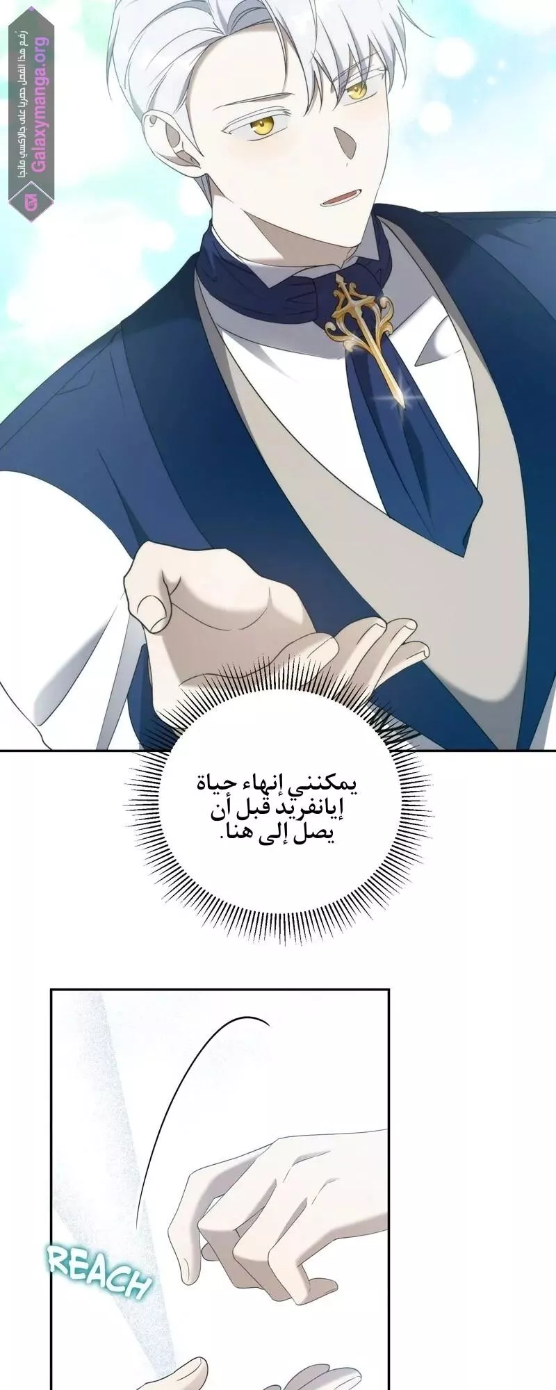 الصفحة 29