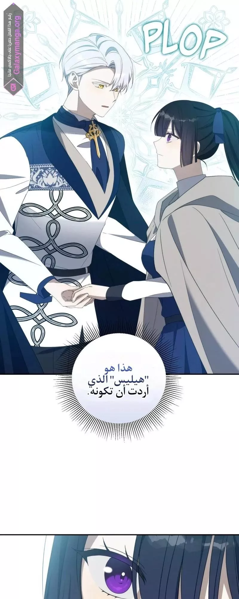 الصفحة 31