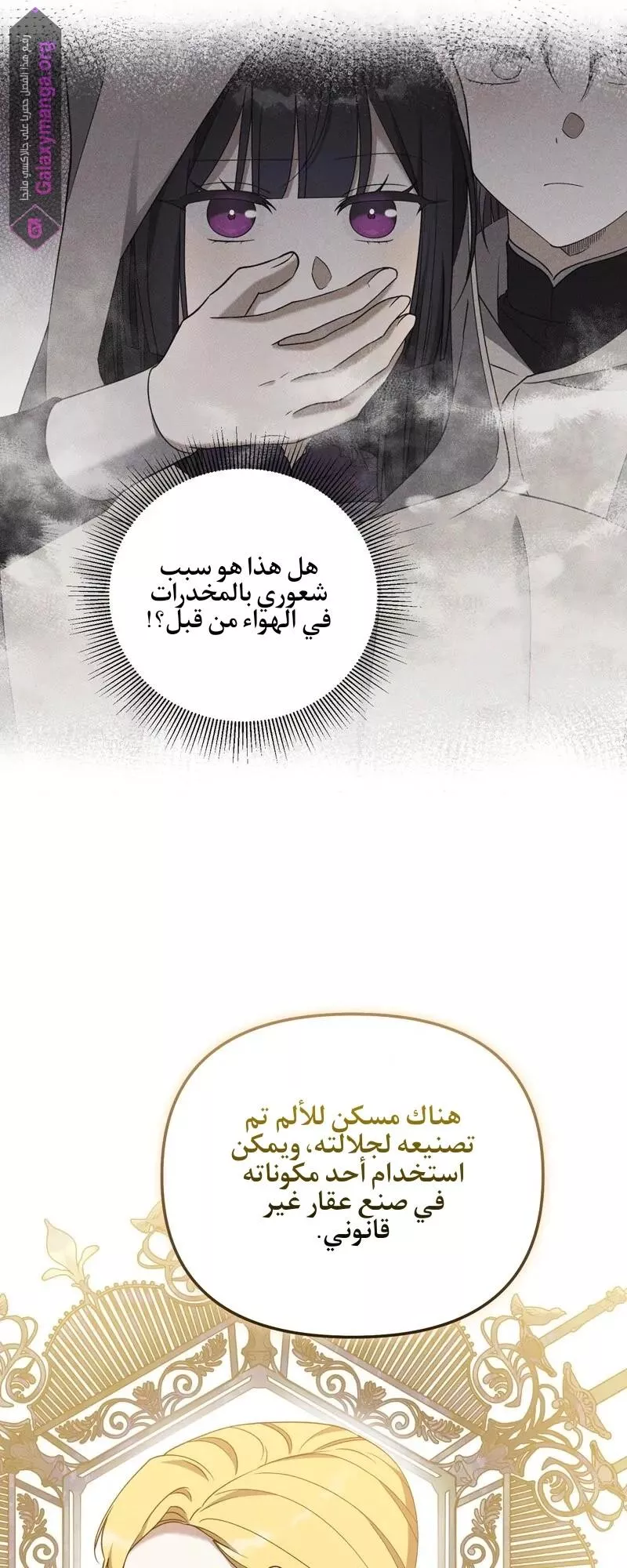 الصفحة 38